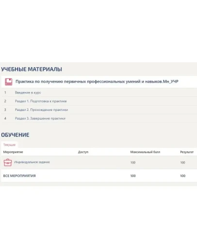 Практика Менеджмент Синергия (Управление ресурсами)