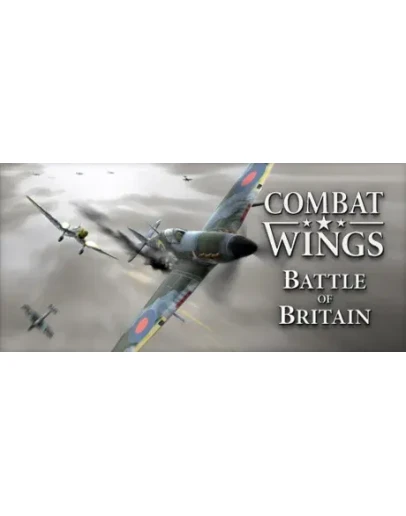 Combat Wings: Battle of Britain (Steam Key/Region Free)