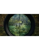 theHunter: Call of the Wild (Steam Key/RU+CIS) theHunter: Call of the Wild (Steam Key/RU+CIS)