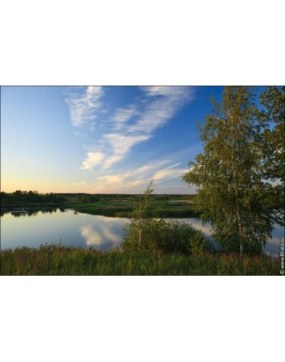 4534 Фото Летний пейзаж, июнь, речка, березки, облака