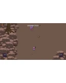 Wild Times (Steam key/Region free)