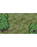 Wild Times (Steam key/Region free)