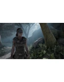 Hellblade: Senua's Sacrifice XBOX ONE / XS Ключ