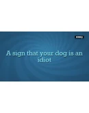 Quiplash 2 InterLASHional (Steam Ключ / Global) 0