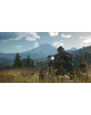 Days Gone STEAMRU АВТОДОСТАВКА 0