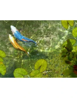 Очаровательный трёхмерный скринсейвер с рыбками Кои