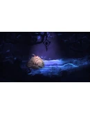 BUNDLE Shiness and Seasons after Fall XBOX ONE / XS