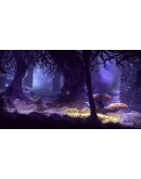 BUNDLE Shiness and Seasons after Fall XBOX ONE / XS