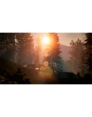 BIGFOOT Оффлайн активация Steam Region Free BIGFOOT Оффлайн активация Steam Region Free