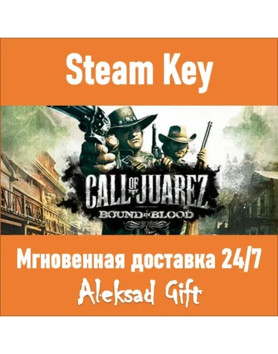 Call of Juarez: Bound in Blood (Steam) REGION FREE +