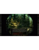 Icewind Dale: Enhanced Edition Steam Key (Region Free)