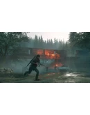 Days Gone ОФФЛАЙН АКТИВАЦИЯ ДЛЯ ПК Steam