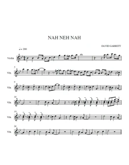 Nah Neh Nah-David Garrett (ноты для скрипки)