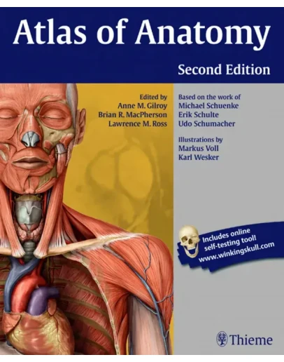 Gilroy A.M. Atlas of Anatomy