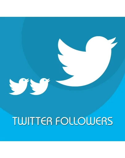 Комплексное продвижение в Твиттер Пакет 100 дешево