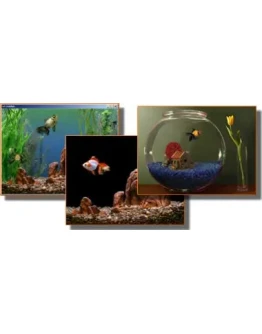 Реалистичный морской аквариум на экране вашего монитора