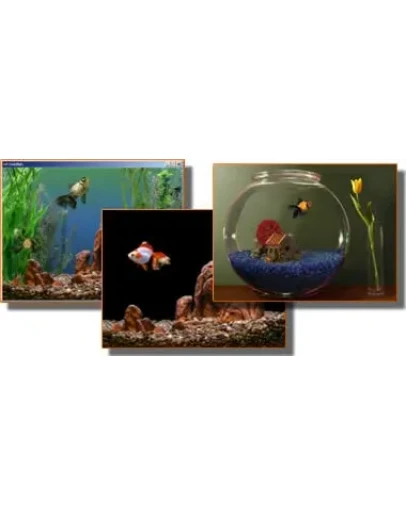 Реалистичный морской аквариум на экране вашего монитора