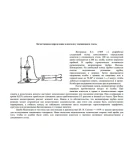 Альбом по судебно-медицинскому исследованию