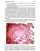 Пауков В.С. - Патологическая анатомия. Том 1