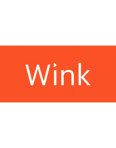 WINK 45 ДНЕЙ WINK 45 ДНЕЙ