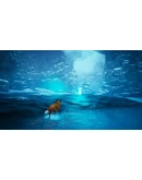 Spirit of the North: Enhanced Edition XBOX SERIES XS