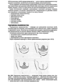 Клиническая хирургия. Национальное руководство. Том 1