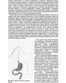 Клиническая хирургия. Национальное руководство. т.2