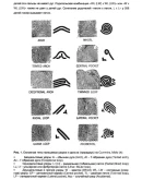 Звягин В.Н. - Дерматоглифика в судебной медицине
