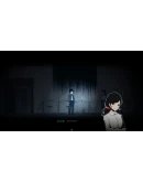 Firework STEAM аккаунт