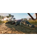 Planet Zoo Deluxe Edition STEAM аккаунтна 90 дней