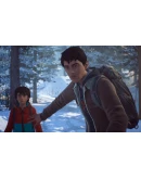 Life is Strange 2 Complete Season STEAM на 90 дней