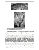 Верткин А. Л. Маломобильный пациент