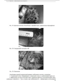 Верткин А. Л. Маломобильный пациент