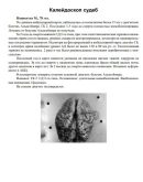 Верткин А. Л. Маломобильный пациент