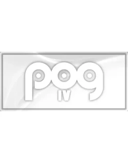 POG 4 (Steam key/Region free)
