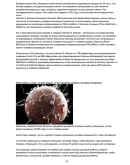 Блоги Патологоанатом Padolski лучшее VII 2021 год