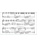 8с05 Приключения Кота, ПАВЕЛ ЗАХАРОВ