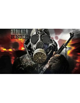 S.T.A.L.K.E.R.: Bundle Steam аккаунт Region Free