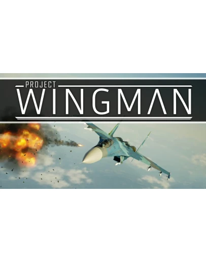 Project Wingman Steam аккаунтна 90 дней