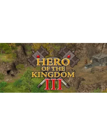 Hero of the Kingdom III (Герой Королевства 3) Steam Key