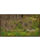 Hero of the Kingdom III (Герой Королевства 3) Steam Key