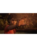 Life is Strange 2 Complete Season (Steam Key/RoW)