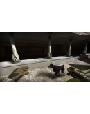 Allison's Diary Rebirth XBOX ONE / XBOX SERIES XS Allison's Diary Rebirth XBOX ONE / XBOX SERIES XS