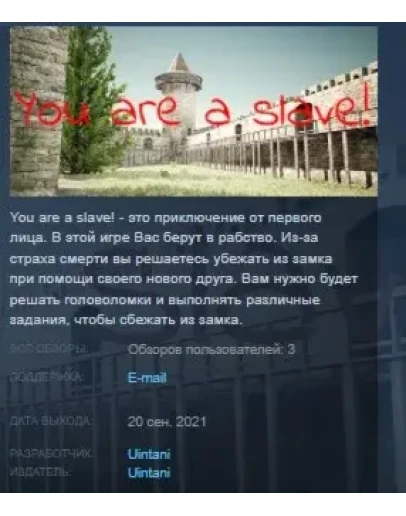 You are a slave! STEAM KEY REGION GLOBAL+РОССИЯ