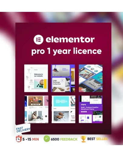 Elementor Pro 1 год Оригинальная лицензия на плагин