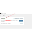 Elementor Pro 1 год Оригинальная лицензия на плагин