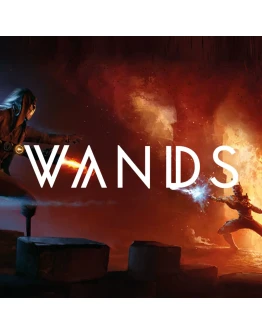 Wands (Steam key / RU+CIS)