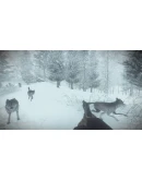 Kona (Steam Key Region Free / GLOBAL)