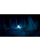 Ori and the Blind Forest: Definitive Edition АВТО