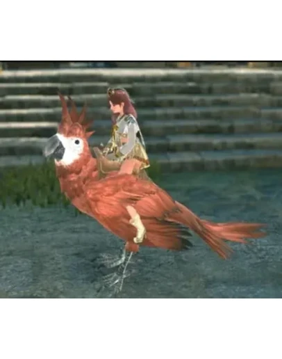 Elyon Launch Celebration Key ( Red Parrot mount )